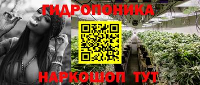 скорость Ставрополь