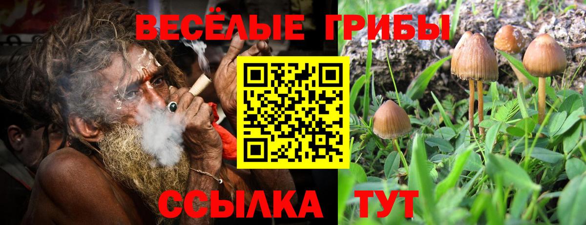 Псилоцибиновые грибы Psilocybine cubensis  Галлюциногенные грибы MAGIC MUSHROOMS  Вход с VPN  Ставрополь 